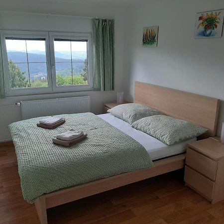 ヤーヒモフ Naproti Klinovciヴィラ エクステリア 写真